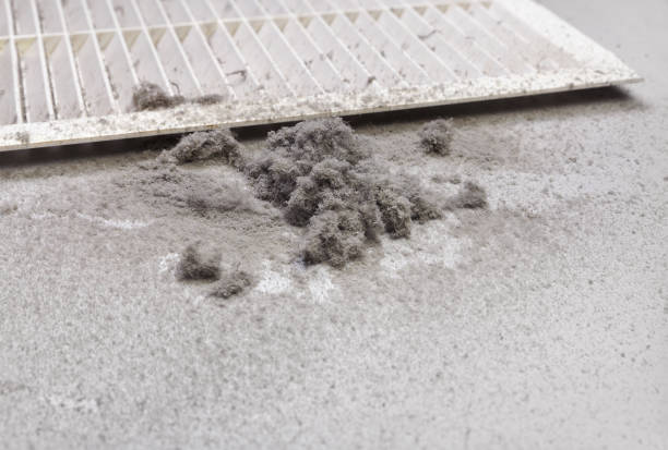 Best Air Duct Cleaning Near Me  in Cedar Hill, MO